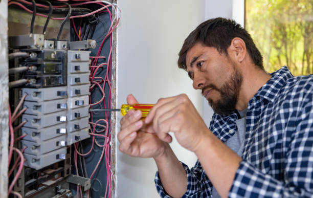 Best Affordable Electrician  in Saginaw, MI